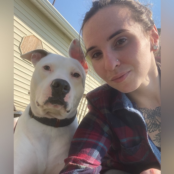 Like this post for Live Auction Listing - Picture 3 of 8